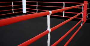 Customized <b>Boxing</b> MMA Wrestling <b>Ring</b> Cover Floor <b>Ring</b> Cover with Club Logo <b>Ring</b> Rope Covers Wholesale - Product Image 5