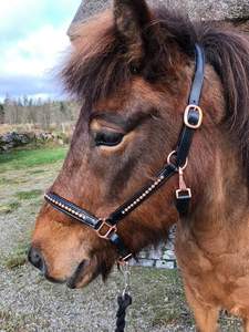 Halter de caballo anatómico ajustable de sillín inglés de alta calidad con diseño inteligente cabestros de nailon de cuero puro de estilo diferente - Product Image 2