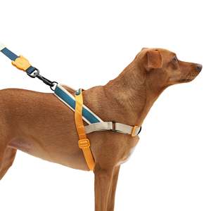 Harnais de luxe norvégien pour chien Softer-Walk Voyage en polyester durable pour chiens de petite, moyenne et grande taille, style simple pour des promenades faciles - Product Image 3