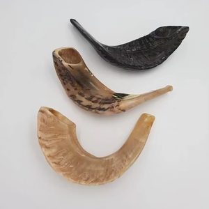 Shofar Pulido al por Mayor, Shofar de Cuerno de Carnero Natural Genuino en Venta, Shofar de Cuerno para Instrumentos Musicales, Shofar de Carnero, Religioso Judío - Product Image 1
