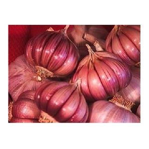 กระเทียมสดสีแดงม่วงแบบธรรมดาสีแดงสดแบบจีน