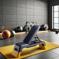 Plateforme de Step Aérobic Réglable Multifonctionnelle en ABS pour Exercices de Fitness