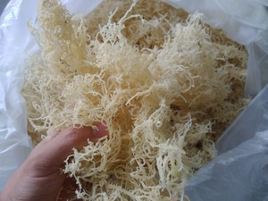 ทะเลสีขาวแบบไอริชสำหรับอบแห้ง - Product Image 3