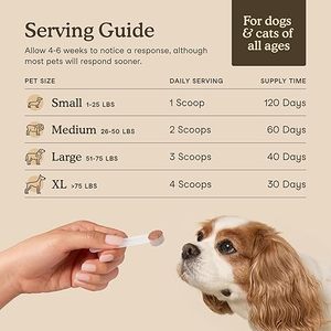 Polvo de Hongo Cola de Pavo de Marca Propia para Mascotas, Apoyo Cognitivo, Inmunológico, Hepático e Intestinal, Apoyo Cognitivo e Inmunológico, 120 Cucharadas - Product Image 4