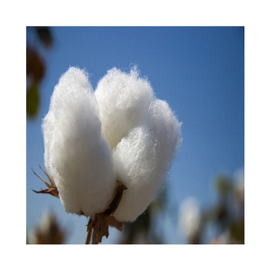 Productos de algodón orgánico puro 100% de alta calidad a la venta de un exportador de buena reputación - Product Image 5