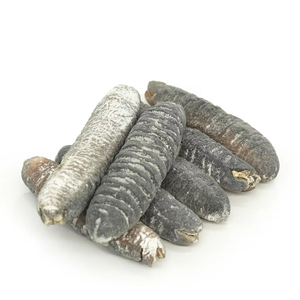Concombre de mer séché frais, exporté, soigneusement sélectionné pour sa pureté élevée et sa saveur naturelle - Product Image 5
