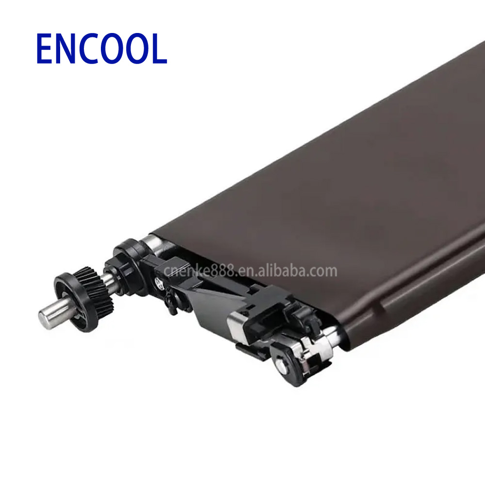 その他 Ta Phospho-TAU (Ser202/Thr205) antibody (82568-1-RR) | Proteintech