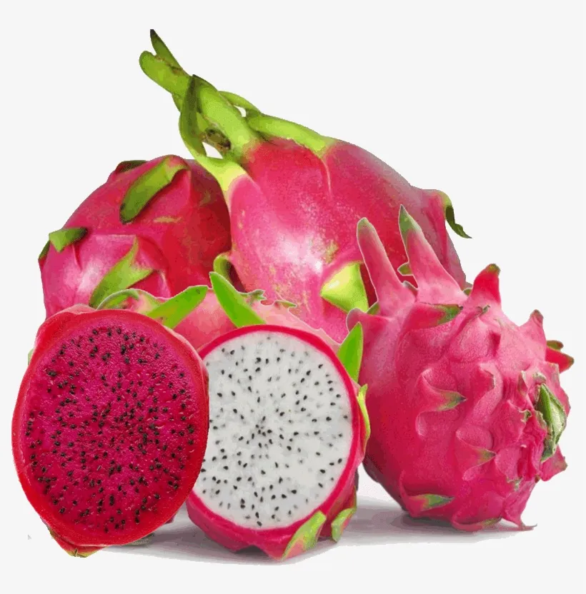 Top sale Delicious Vegetable Dragon Fruit in Vietnam Fresh Vegetable Dragon Fruit Holiday