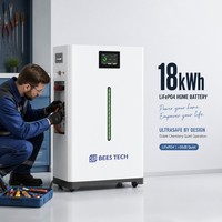 Batterie LiFePO4 18 kWh 51,2 V 360 Ah avec poignée et roues pour un déplacement facile, plus de 10 000 cycles pour système solaire hors réseau BEES TECH