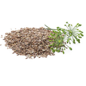 ผักชีฝรั่ง | เครื่องเทศสดที่เก็บเกี่ยวสำหรับการสั่งซื้อจำนวนมาก - Product Image 3