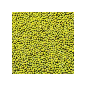 Green Mung <b>Beans</b> for High-Protein Vegan Meals - Product Image 4