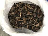 Noni pur séché d'usine du Vietnam dans un sac sous vide Noni séché 5usd chaque Kgs Noni séché entier 10pcs sac ANGLE