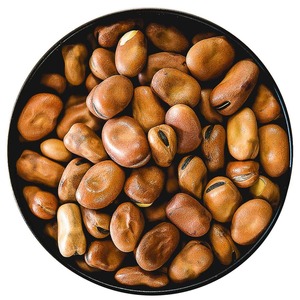 Frijoles divididos de alta calidad, venta a granel, frijoles divididos frescos naturales, perfectos para la demanda de procesamiento de alimentos - Product Image 3