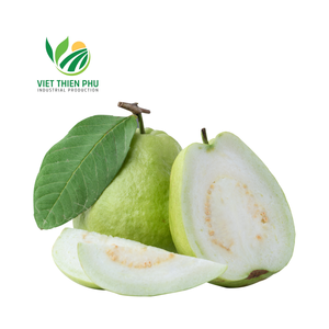 GOYAVE CONGELÉE, 100% FRUITS NATURELS DU VIETNAM MEILLEUR PRIX EN GROS - Product Image 2