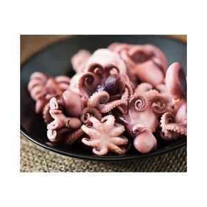 Pulpo bebé congelado a granel, entero, listo para exportación con servicio de envío confiable - Product Image 1
