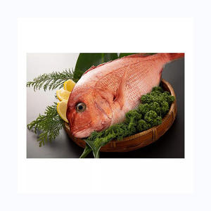 ปลาทะเลสีดำปลาทะเลชนิดหนึ่งแช่แข็ง - Product Image 2