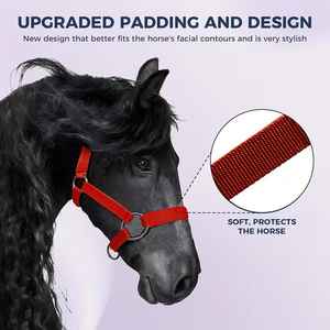 Licol de luxe pour cheval avec système de sécurité, en sangle de polypropylène rembourrée, avec placage en nickel perlé en alliage de zinc - Product Image 4