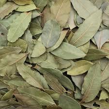 Feuilles de Laurier Bio Séchées Premium – Épice Culinaria Entière pour l'Industrie Alimentaire et la Distribution - Product Image 2