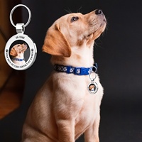 Maßge schneiderte Metall Zink legierung Blank QR-Code NFC Erkennungs marken Smart NFC Pet Tags