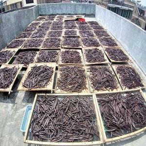 Vainas de vainilla congeladas BQF 99.99% limpias, vainas de vainilla a granel 50kg, vainas de vainilla a bajo precio - Product Image 4