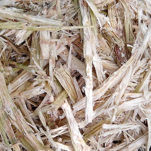 BAGASSE DE CANNE À SUCRE EN VRAC QUALITÉ SUPÉRIEURE BIOMASSE NATURELLE FOURNITURE D'EXPORTATION PRODUIT HOT DEAL TOP VENTES MEILLEURE OFFRE PROMOTION - Product Image 5