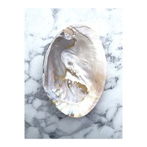 Set de Incienso de Concha de Abulón con Quemador de Madera de Hojas, Lavanda, Rosa, Salvia, Palo Santo, Aromas de Sándalo - Product Image 6