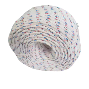 Cuerda trenzada Danline PP de 3 hilos | Cuerda de polipropileno de alta resistencia para navegación y logística - Product Image 1