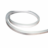 Offre Spéciale 2835 Bande LED Néon Flexible 10W IP65 DC 12V 8x16 120 Diodes Étanche Basse Tension 5m/Rouleau Blanc/Blanc Chaud