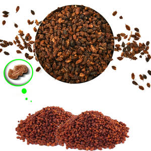 ทะเล buckthorn | ขาดน้ำสำหรับผู้ซื้ออุตสาหกรรมเพื่อสุขภาพ - Product Image 5