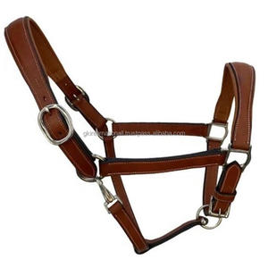 Dos de cheval en cuir marron rembourré souple doublement cousu en cuir de Havane en pleine taille d'épi boucle et anneaux en nickel réglables - Product Image 1
