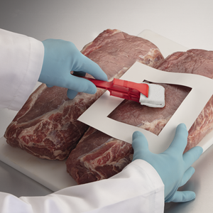 Kit de muestreo de superficies estériles con esponja de poliuretano y mango para pruebas de calidad durante el proceso de producción de los - Product Image 5