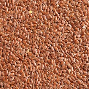 Exportador indio ofrece semillas de lino de grado alimenticio a precio mayorista cultivadas en estado silvestre - Product Image 3