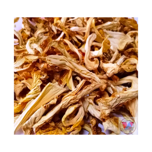 Champignon d'huître séché biologique 100% naturel fabriqué au Vietnam - Product Image 2