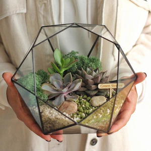 Terrarium en verre de table en métal et en verre pour mariage et fêtes événementielles Terrarium en verre décoratif Décoration d'intérieur fini noir - Product Image 2