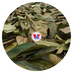 HOJAS DE GRAVIOLA DE VIETNAM/HOJAS DE URENTA SECAS A PRECIO ASEQUIBLE LISTO PARA EXPORTAR EN GRANDE - Product Image 1