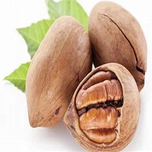 Nueces de Pecán Crudas Lavadas Disponibles para la Venta a Precios Accesibles - Product Image 5