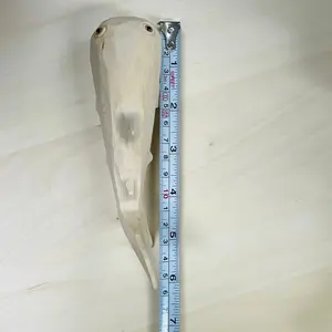 YEEYAYA Statuetta di Balena in Legno Intagliata a Mano da 6 Pollici, Animale Acquatico, Decorazione per Soggiorno, Artigianato in Bambù e Legno - Product Image 4