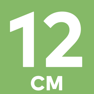 Evergreenweb Sofa Bed Waterfoam Single Queen or Double Mattress Orthopedic 12 cm High Sofa and Beds Made in Italy Cotton- DAYBED - Product Image 6