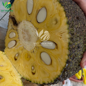 Viet Thien Phu-ขนุนแช่แข็งออร์แกนิกแบ่งครึ่งและขนุนหวาน iqf ปอกขนุนจากเวียดนามขายดีบรรจุจำนวนมาก - Product Image 5