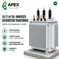 Transformateur de distribution immergé dans l'huile APEX S13-M 630-1600 kVA 11 kV/400-415 V à cuve corruguée pour sous-station de centre de données IEC 60076