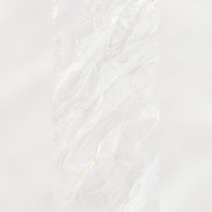 Carreaux de sol vitrifiés Urban Jungle Shine 600x1200mm, intégration biophilique pour les serres et les atriums urbains - Product Image 4