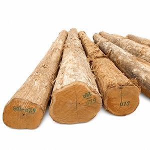 Bûches de teck d'Afrique de l'Ouest – Tectona Grandis - Product Image 3