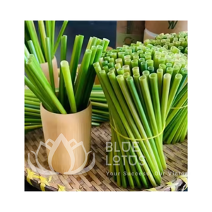 100% Pailles d'herbe jetables écologiques de Blue Lotus Farm Produit chaud le plus vendu directement du Vietnam au meilleur prix - Product Image 1