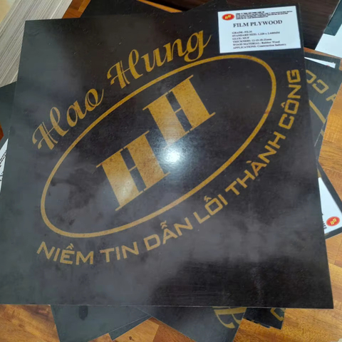 Best Quality Anti-Slip Eco-Friendly 18mm Black Film Faced Plywood Sheet 12/15mm Thickness From Vietnam Factory