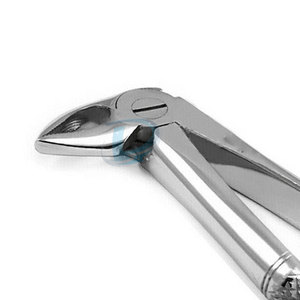 Vente en ligne d'équipements médicaux, pinces d'extraction fabriquées au Pakistan, pinces d'extraction réutilisables - Product Image 5