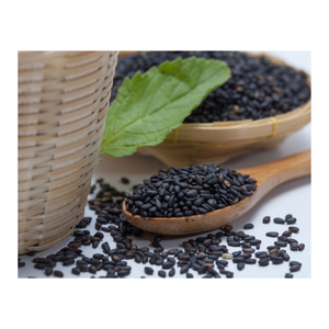 Semillas de albahaca de alta calidad de Vietnam, naturales para la salud y la belleza, la mejor oferta para exportación a granel, listas para enviar a precio de fábrica - Product Image 4