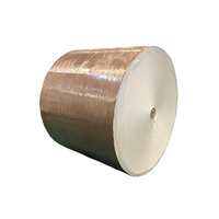 Carton Duplex Ivoire JIPL 170 400 GSM Enduit PE en Pâte de Bois Vierge FBB pour Emballage, Impression Offset Double Face, Étanche pour Articles de Boisson