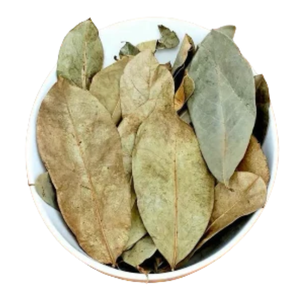 FEUILLES DE GUANABANA SÉCHÉES-EXPORTATION EN VRAC PREMIUM-OFFRE AU MEILLEUR PRIX - Product Image 2