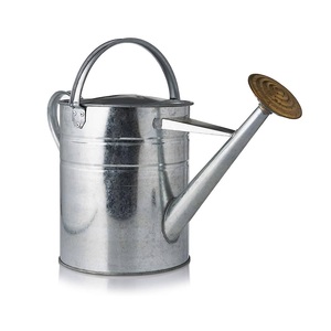 Arrosoir élégant avec une conception mondiale ironique arrosoir en métal idéal pour l'extérieur et les jardins - Product Image 6