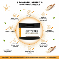 Kangherb OEM – Poudre de NR végétalienne de qualité alimentaire pour le bien-être cellulaire – Complément de soutien quotidien à la santé